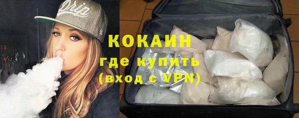 ГАЛЛЮЦИНОГЕННЫЕ ГРИБЫ Гусь-Хрустальный