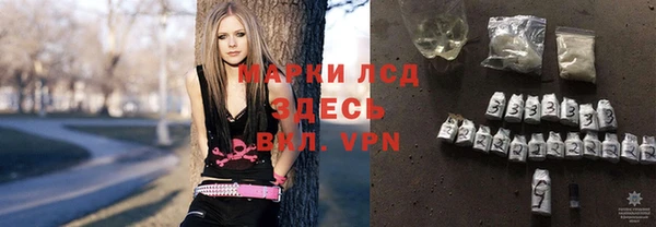 спиды Горняк