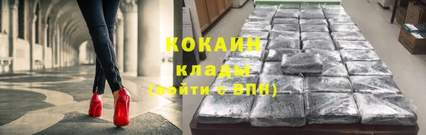 Альфа ПВП Гусев