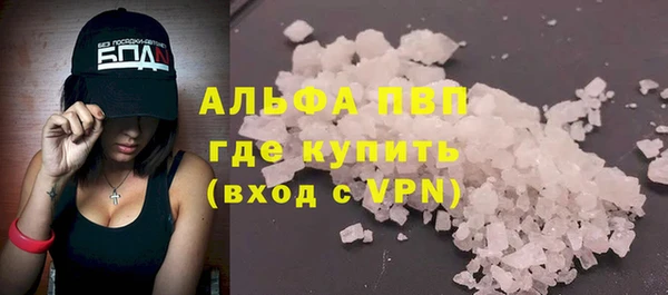 Альфа ПВП Гусев