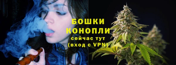 марки lsd Гусиноозёрск