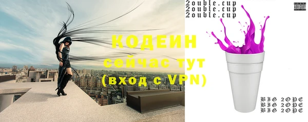 ГАЛЛЮЦИНОГЕННЫЕ ГРИБЫ Гусь-Хрустальный