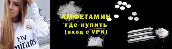 ГАЛЛЮЦИНОГЕННЫЕ ГРИБЫ Гусь-Хрустальный