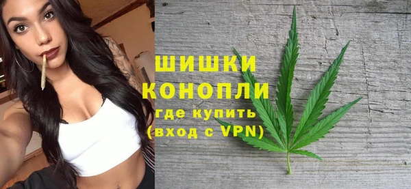 ГАЛЛЮЦИНОГЕННЫЕ ГРИБЫ Гусь-Хрустальный