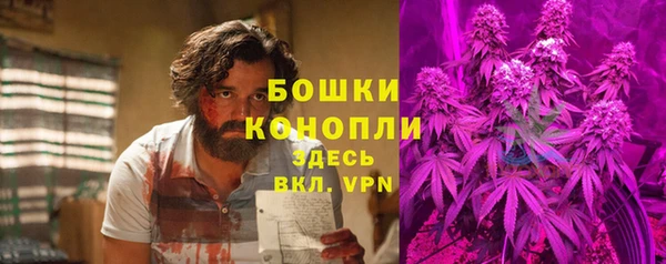 Альфа ПВП Гусев