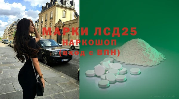 ГАЛЛЮЦИНОГЕННЫЕ ГРИБЫ Гусь-Хрустальный