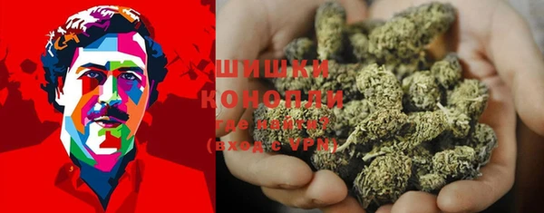 Альфа ПВП Гусев