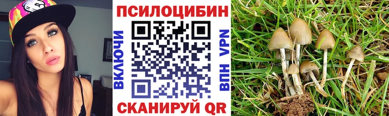 купить  сайты  Меленки  Псилоцибиновые грибы мухоморы 